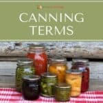 Various canning jars sitting on a gingham cloth in front of a log backdrop.