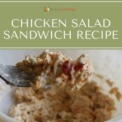 A forkful of chicken salad sandwich filling.