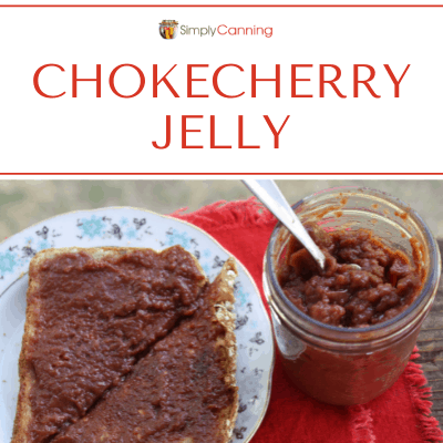 Chokecherry jelly spread on toast with an open jar next to the plate.