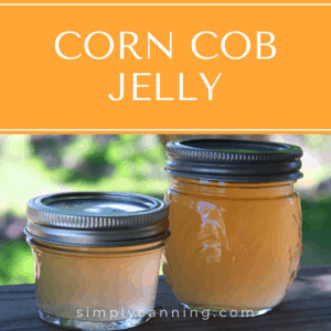 Two small jars of golden corn cob jelly.