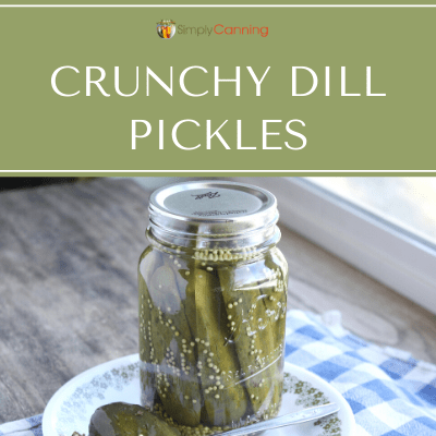 A jar filled with crunchy dill pickles with a pickle to the side on a plate.
