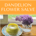 A jar filled with yellowish green dandelion salve with a jar of purple flowers sitting next to it.