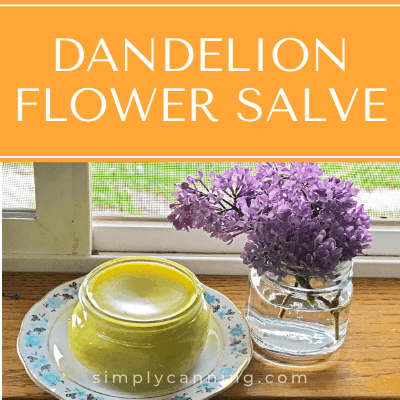 Dandelion Flower Salve