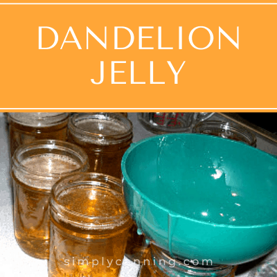 Pouring golden dandelion jelly into jars.