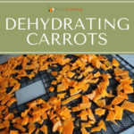 A dehydrator tray covered with bright orange carrot pieces.