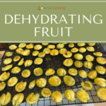 Sliced fruit layered on a dehydrator tray.