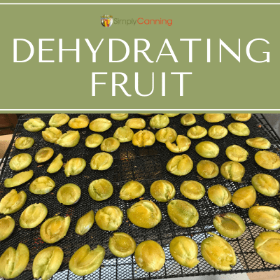 Dehydrating Fruit 