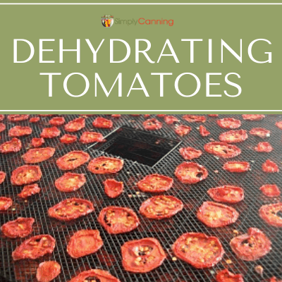 Rows of dried red tomato slices on the dehydrator trays.