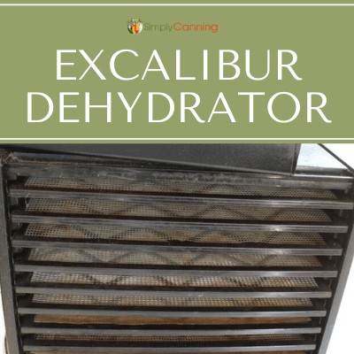 Excalibur 3900, Living Foods Dehydrator