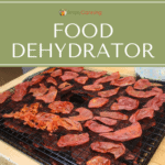 Food dehydrator tray covered with dried slices of food.