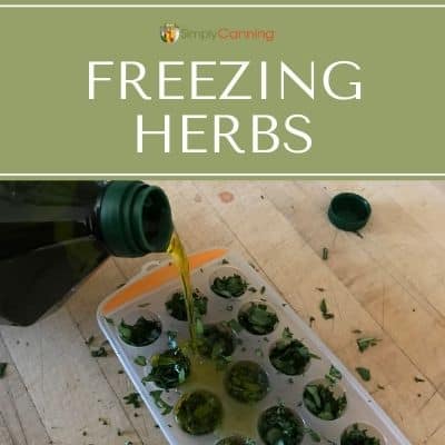 Freezing Herbs