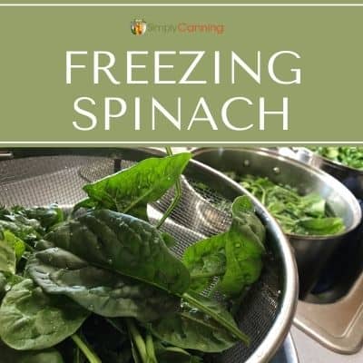 Freezing Spinach & Other Leafy Greens