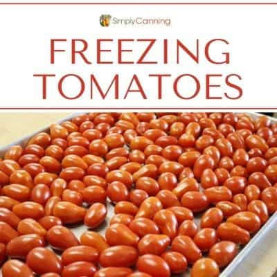 Freezing Tomatoes