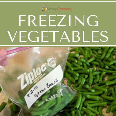 Putting snapped green beans into a labeled freezer bag.