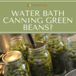 Putting a flat lid onto a jar of green beans.