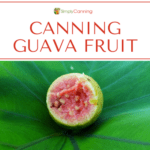 Half of a guava fruit with its pinkish flesh inside.