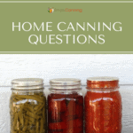 Jars of home canned vegetables sitting next to a white background.