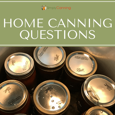 Tops of canning jars in a pressure canner.