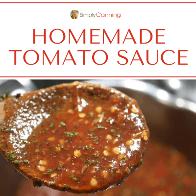 A spoonful of tomato sauce with herbs and spices in it.