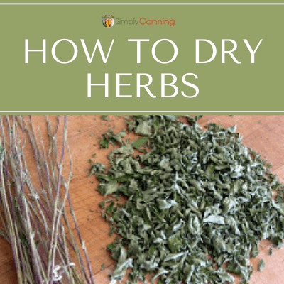 how to dry herbs