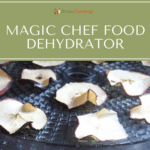 Dried apple slices on a Magic Chef dehydrator tray.