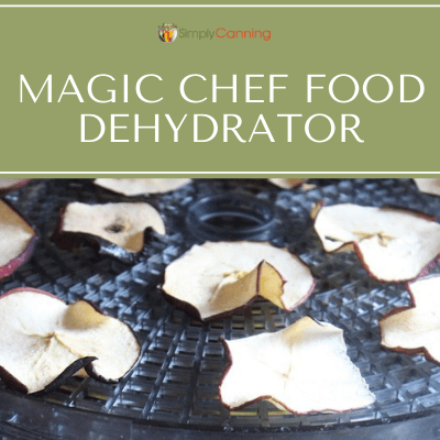 Dried apple slices on a Magic Chef dehydrator tray.
