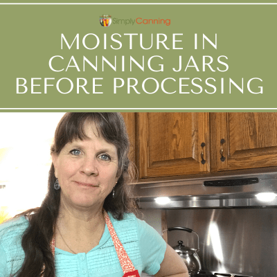 Sharon wearing an apron and standing in her kitchen.