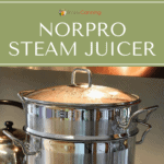 Steam juicer with its lid on.