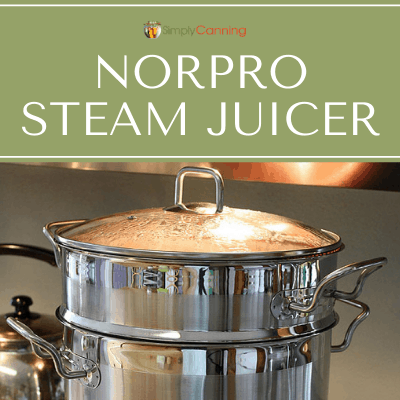 12 Best Steam Juicer For Canning for 2024