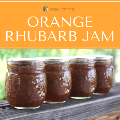 Four small jars filled with orange rhubarb jam.