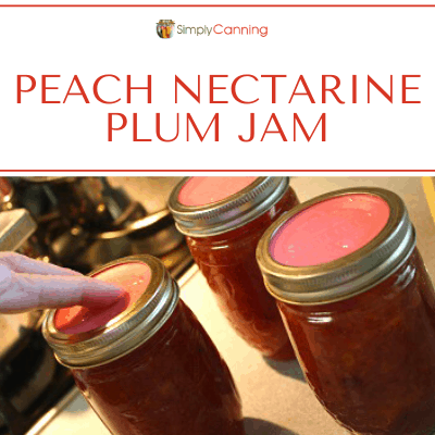 Peach Nectarine Plum Jam