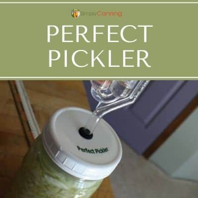 Fermenting Foods with the Perfect Pickler