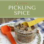 A jar of mixed pickling spice with a measuring spoon in it.