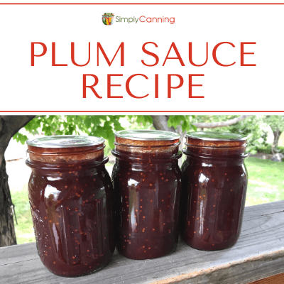 Plum Sauce Recipe 