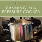 A pressure cooker sitting on the stovetop.