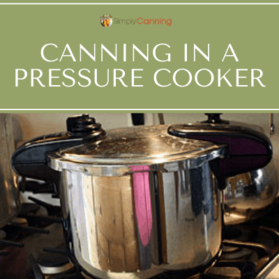 Pros & Cons of Electric Pressure Canners (+Water Bath) - Melissa K