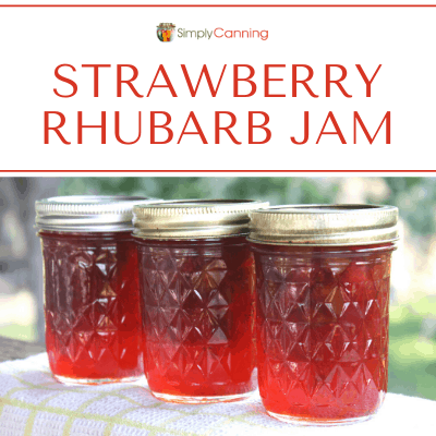 Strawberry Rhubarb Jam Recipe