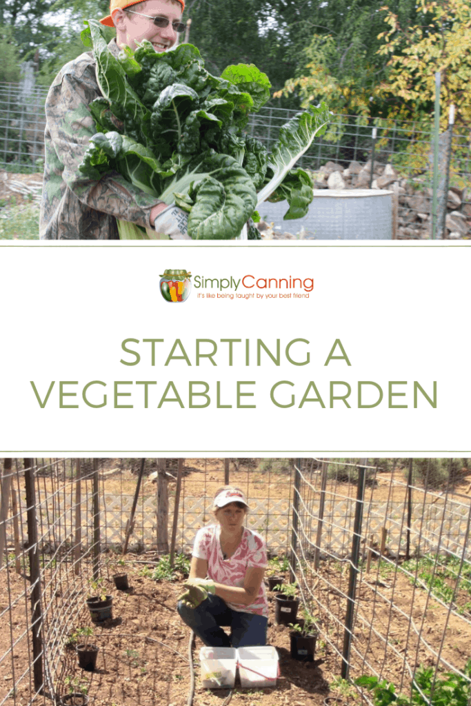 Staring a Vegetable Garden