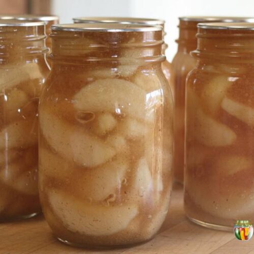 Jars filled with thick apple pie filling.