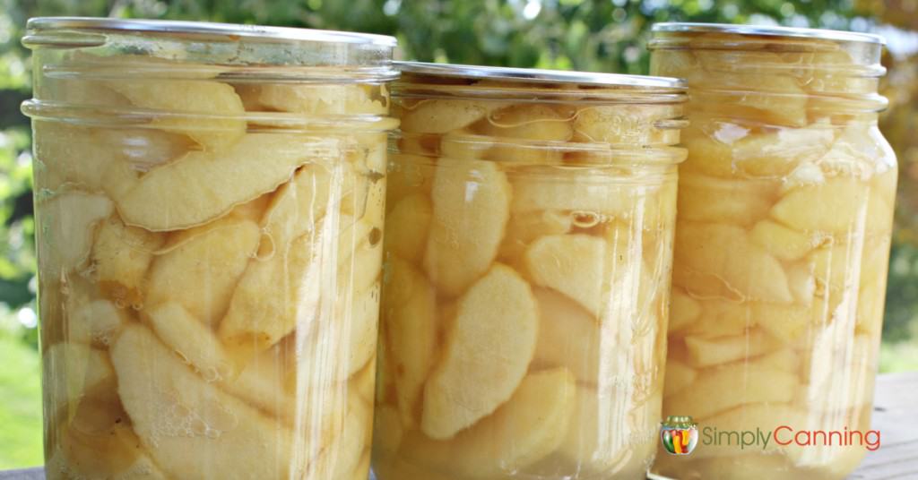 Three jars of home canned apples sitting side by side in a row.