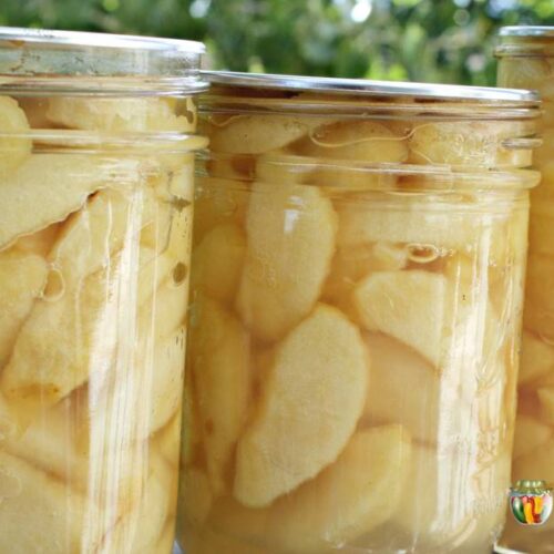 Three jars of home canned apples sitting side by side in a row.