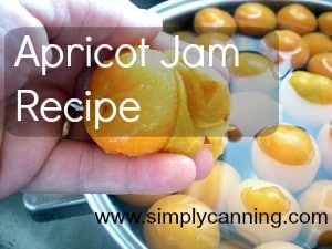 Peeling apricots for making jam.