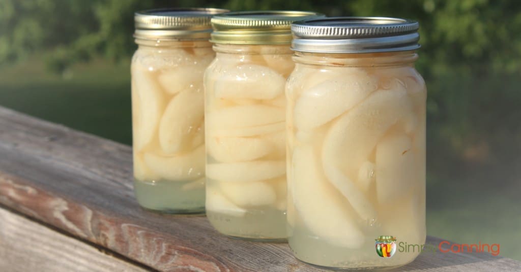 Three jars of bright Asian pear slices.