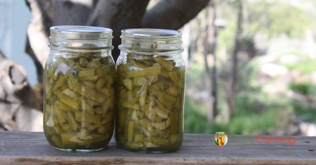 Two jars filled with pieces of cooked asparagus.