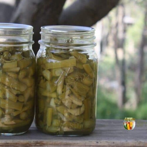 Two jars filled with pieces of cooked asparagus.