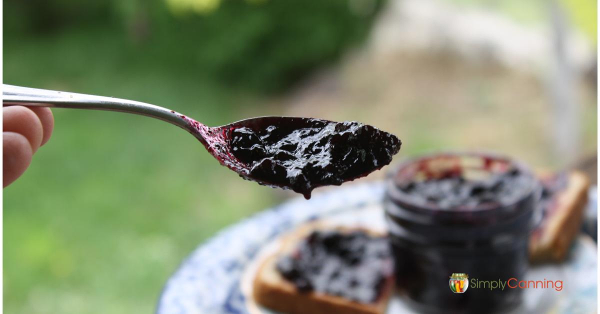 A spoonful of thick blueberry jam with the jar in the background.
