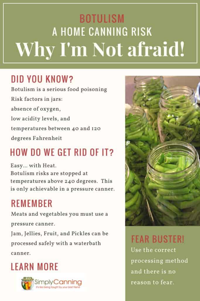 Various facts about botulism in infographic format.