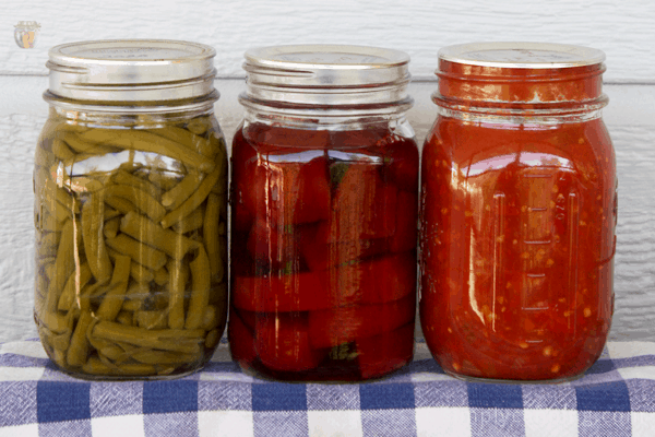 Jars of home canned green beans, beets, and tomatoes sitting on a blue and white checkered napkin.