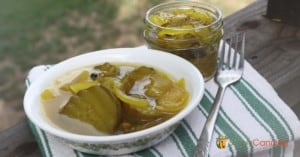 A bowl filled with bread and butter pickles with a jar sitting behind the bowl.