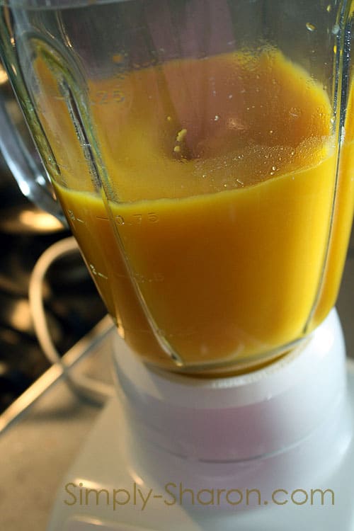 butternut apple soup blender